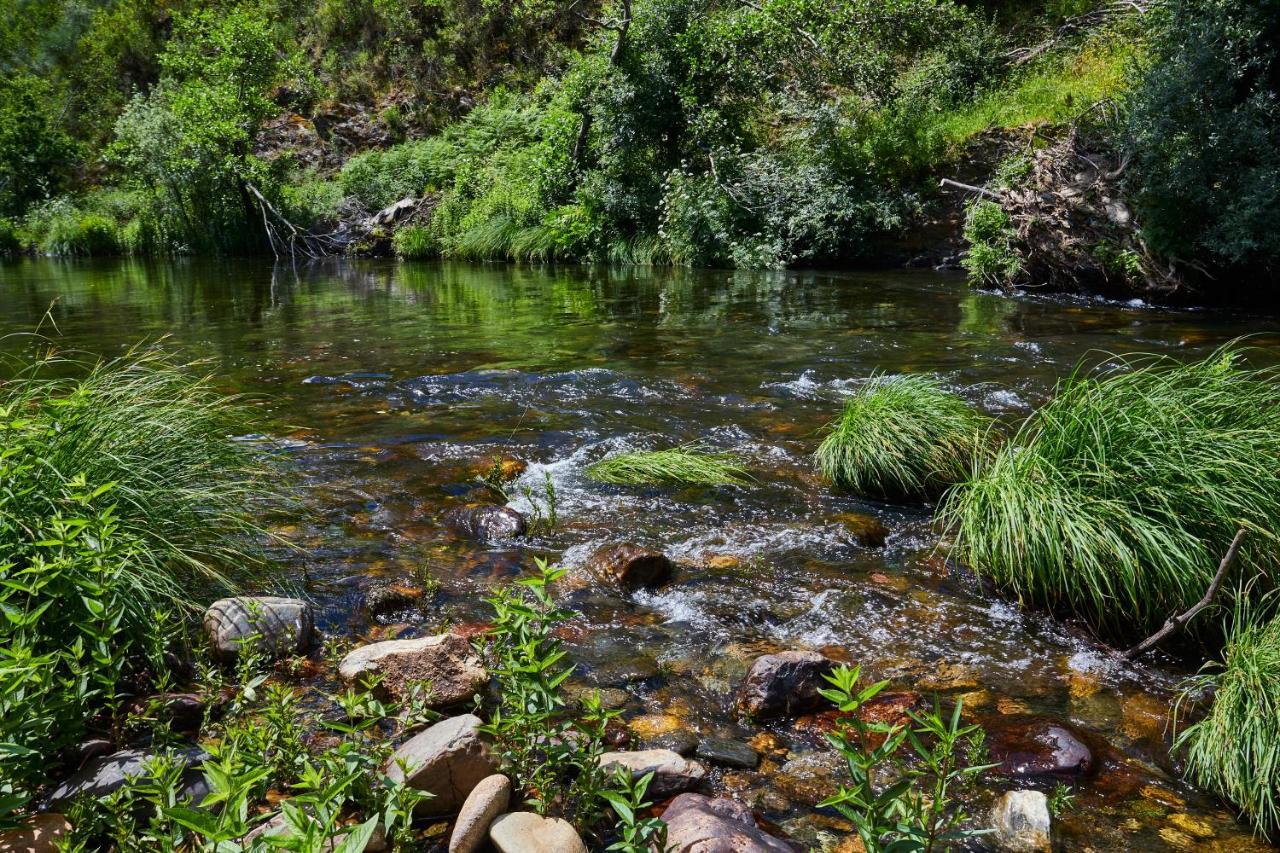Cottage Da Paradinha: Passadicos Do Paiva - Arouca Экстерьер фото